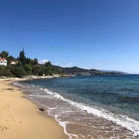 Rea Di Mare *