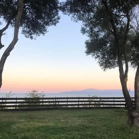 Rea Di Mare